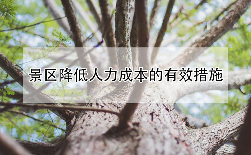 景區(qū)降低人力成本的有效措施