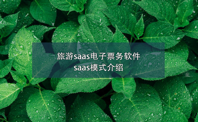 旅游saas電子票務軟件，saas模式介紹