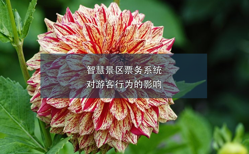 智慧景區(qū)票務(wù)系統(tǒng)對(duì)游客行為的影響