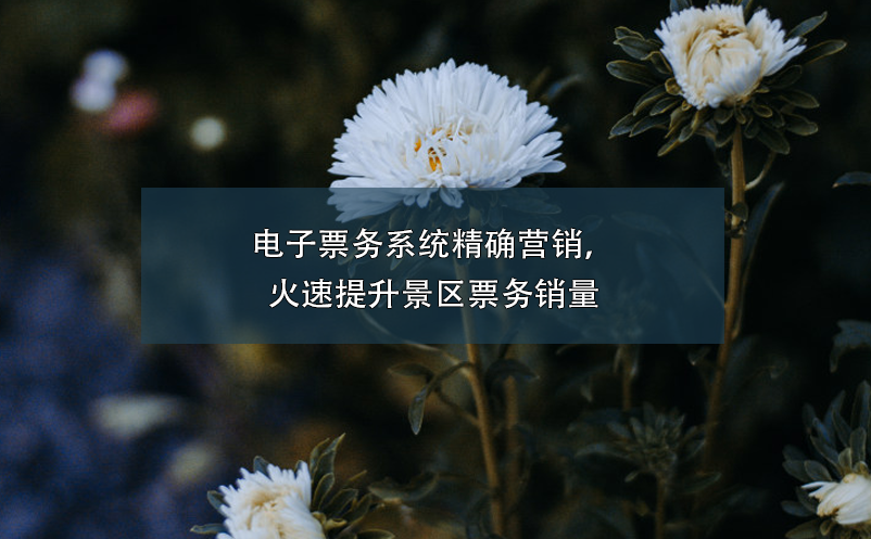 電子票務(wù)系統(tǒng)精確營銷，火速提升景區(qū)票務(wù)銷量