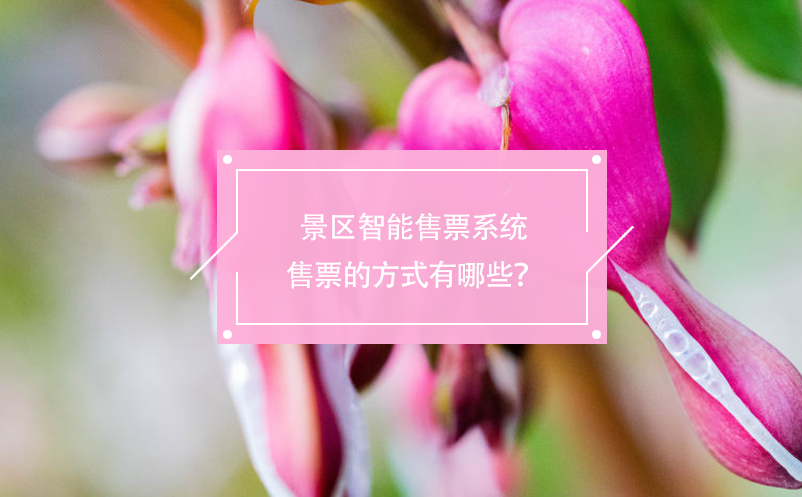 景區(qū)智能售票系統(tǒng)售票的方式有哪些？