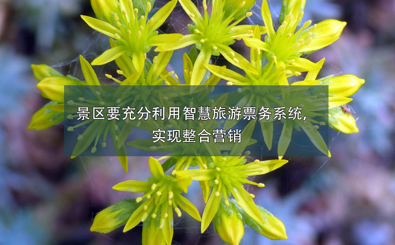 景區(qū)要充分利用智慧旅游票務(wù)系統(tǒng)，實(shí)現(xiàn)整合營銷