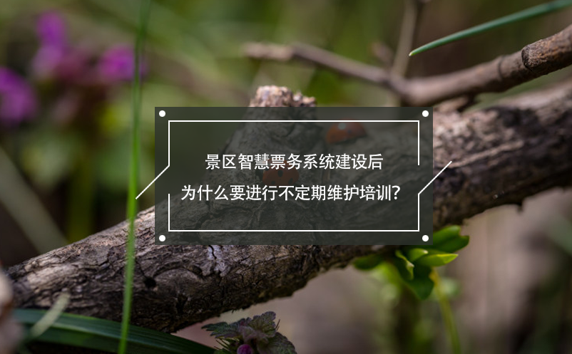 景區(qū)智慧票務(wù)系統(tǒng)建設(shè)后為什么要進(jìn)行不定期維護(hù)培訓(xùn)？