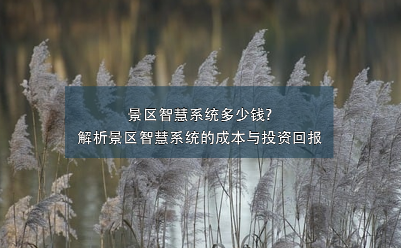 景區(qū)智慧系統(tǒng)多少錢(qián)?解析景區(qū)智慧系統(tǒng)的成本與投資回報(bào)