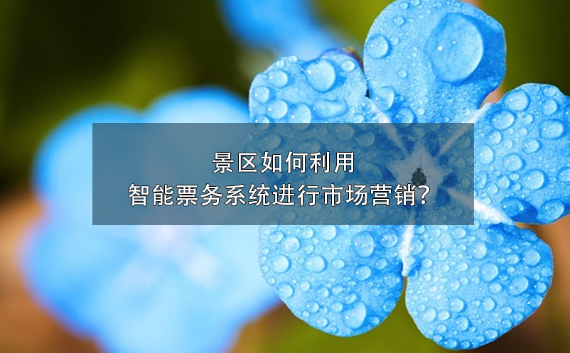 景區(qū)如何利用智能票務(wù)系統(tǒng)進(jìn)行市場營銷？