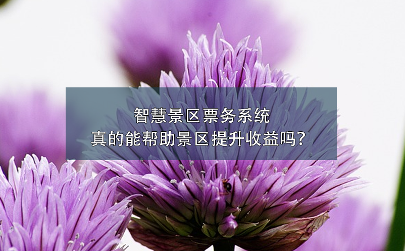 智慧景區(qū)票務(wù)系統(tǒng)真的能幫助景區(qū)提升收益嗎？