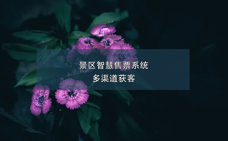 景區(qū)智慧售票系統(tǒng)多渠道獲客