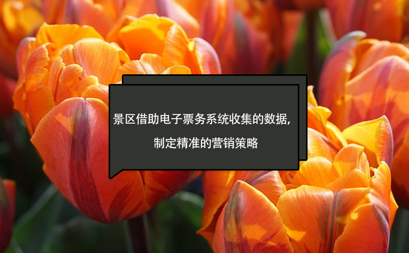 景區(qū)借助電子票務(wù)系統(tǒng)收集的數(shù)據(jù)，制定精準的營銷策略