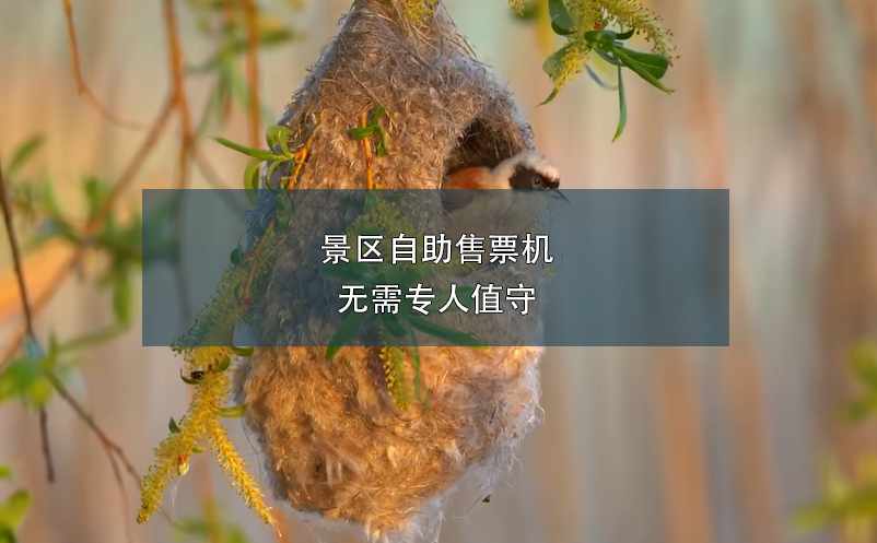 景區(qū)自助售票機(jī)無需專人值守