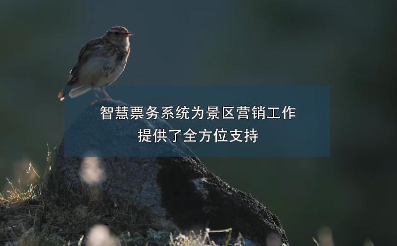 智慧票務系統(tǒng)為景區(qū)營銷工作提供了全方位支持