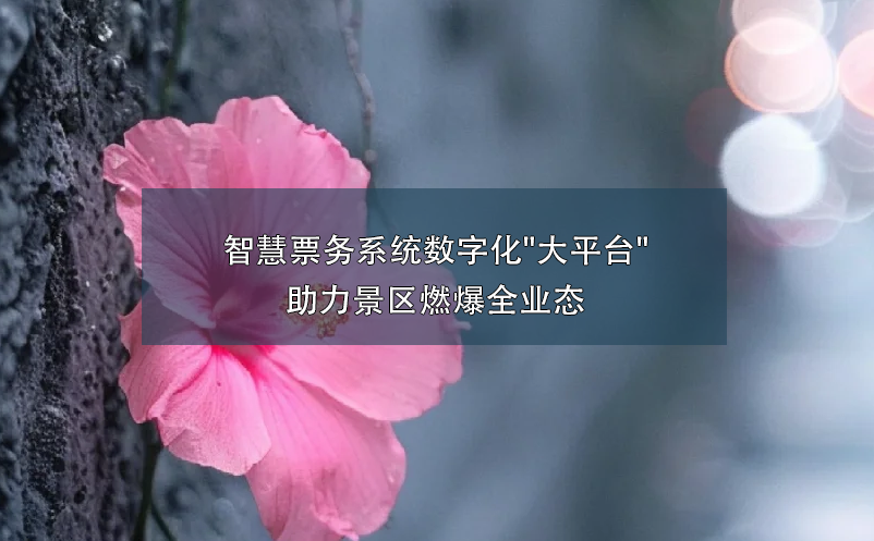 智慧票務(wù)系統(tǒng)數(shù)字化