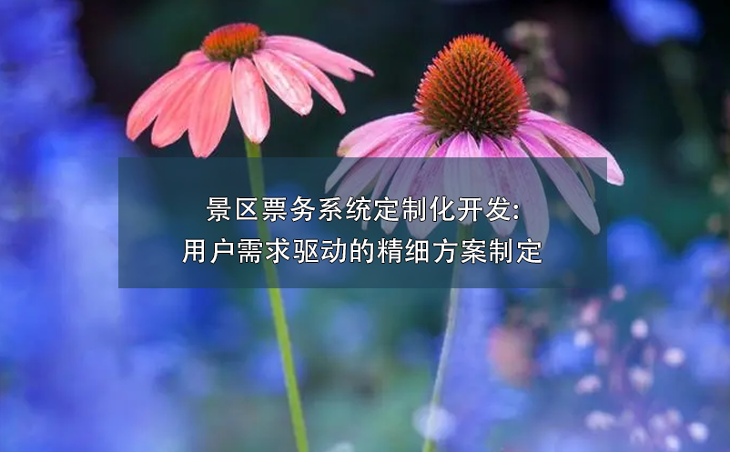景區(qū)票務(wù)系統(tǒng)定制化開發(fā):用戶需求驅(qū)動(dòng)的精細(xì)方案制定