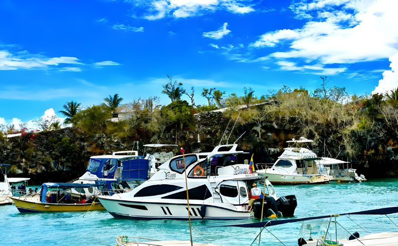 景區(qū)升級票務(wù)系統(tǒng)＝燒錢又復(fù)雜？